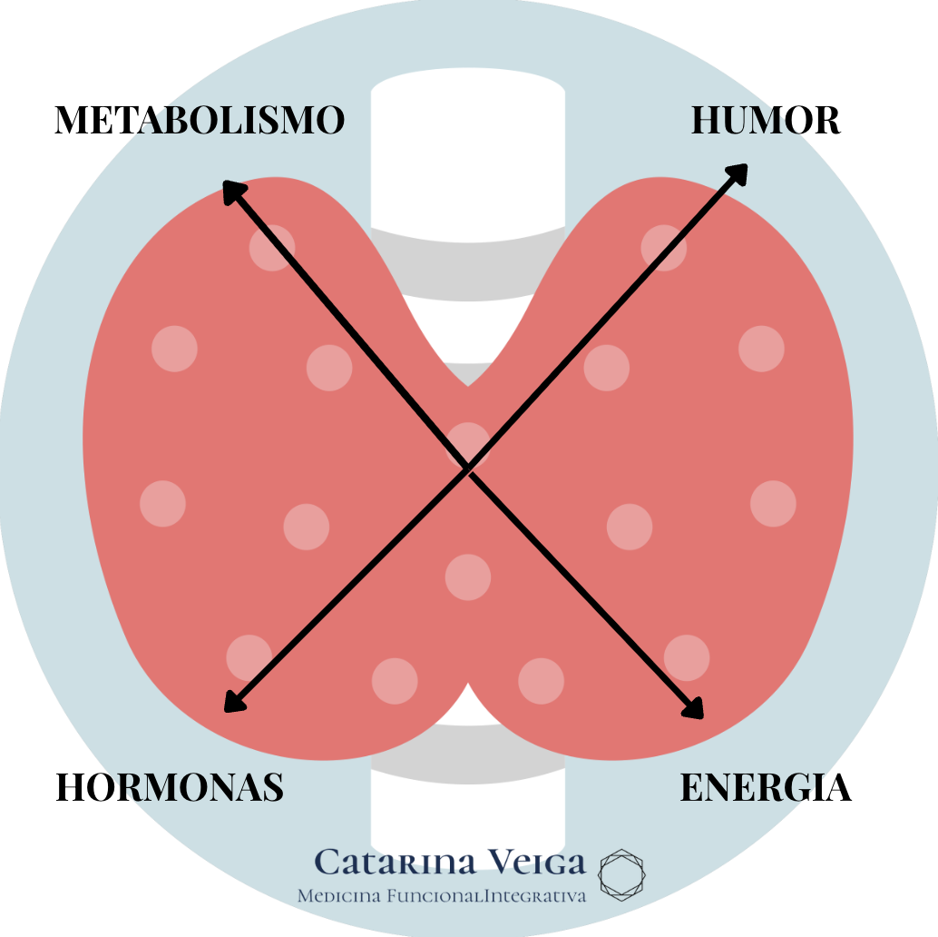 Funções reguladas pela tiroide: metabolismo, energia, humor e hormonas