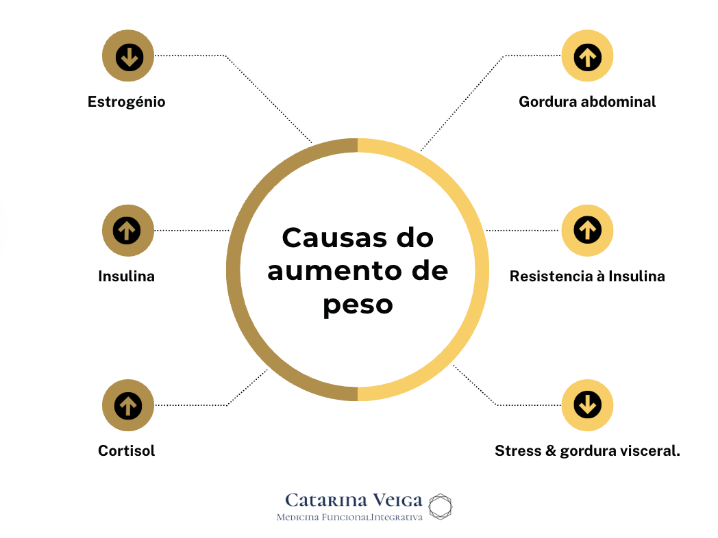 Infográfico das causas do aumento de peso na perimenopausa: alterações hormonais, resistência à insulina e stress