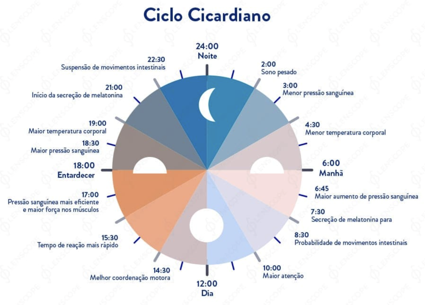 Gráfico circular de 24 horas com ícones (☀️ manhã → 🌞 tarde → 🌙 noite).