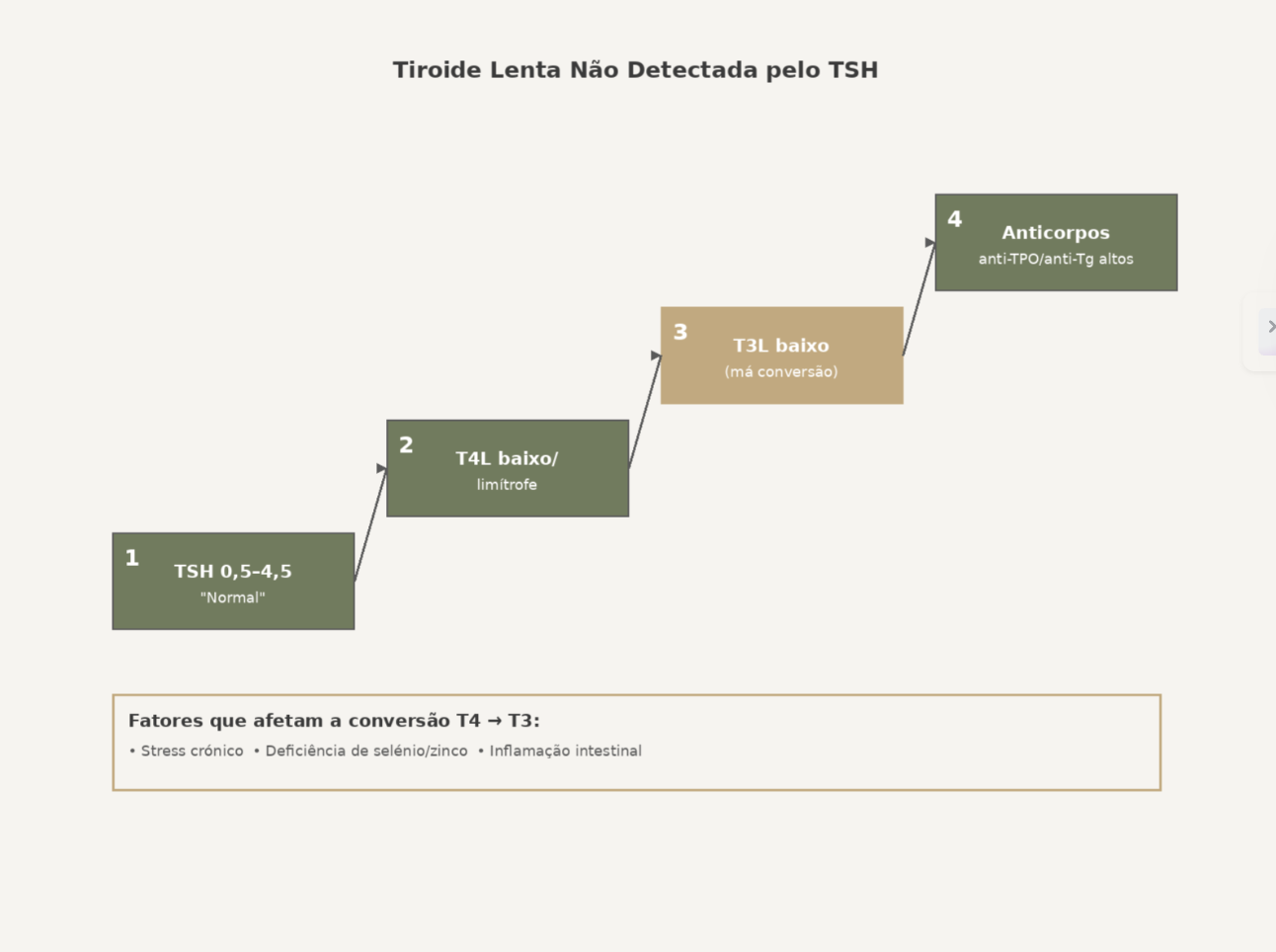 Esquema em degraus mostrando TSH normal, T4L baixo, T3L baixo e anticorpos elevados.