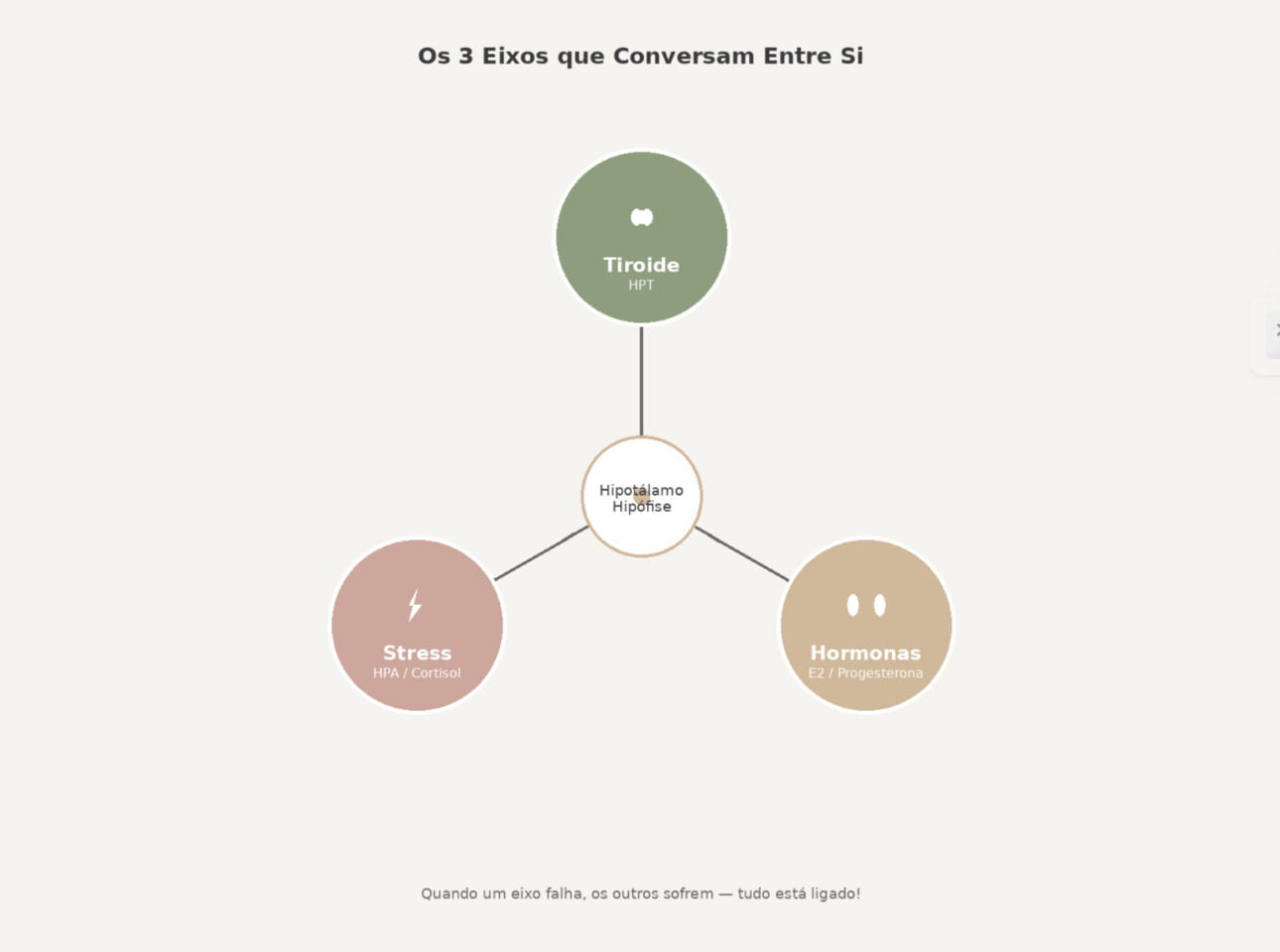 Diagrama triangular que liga HPT, HPA e Ovários ao hipotálamo/hipófise.